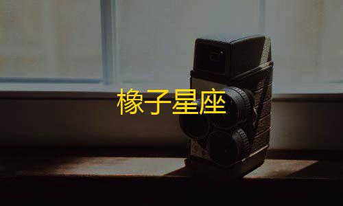 暗区突围直装科技安卓最新版App下载橡子星座